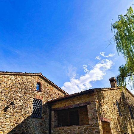 B&B Nel Vigneto Castelplanio 외부 사진